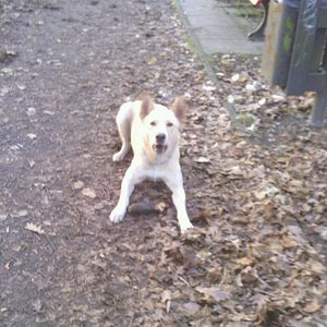 6338f50a53df5802655b851668faf171