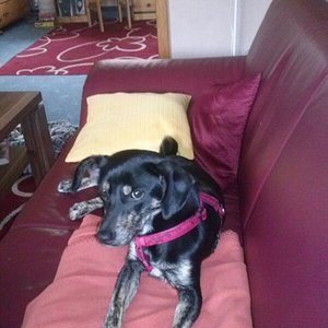 IMG 20140731 WA0005.2