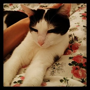 10853069 282488495208277 1363167502 n