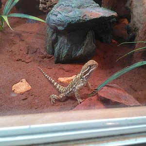 10593072 1114327331974440 5009669729360822318 n