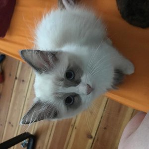 shanti ist sehr neugierig