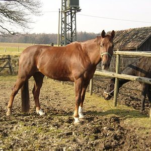 Kurz nach Entdeckung seines Tumores Winter 2006