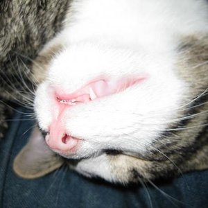 Selbst beim Schlafen will ich noch gefährlich sein