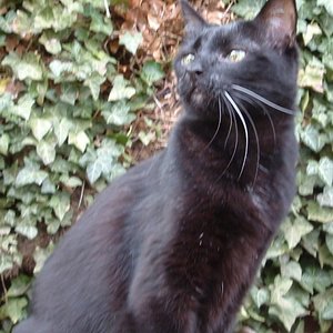 Missy Garten 17.04.08
R.I.P.! Always beloved Angel!