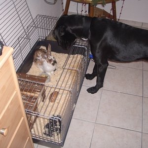 Diego begrüßt Molly