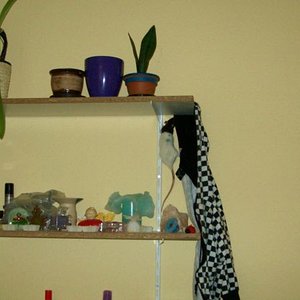 Vicky will ganz hoch hinaus  :D