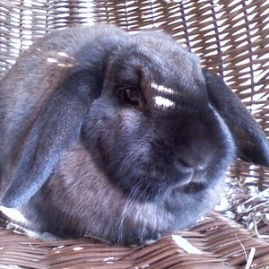 Ja es war recht kalt