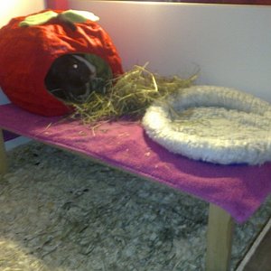 Eine kleine neue flexible Etage ;)