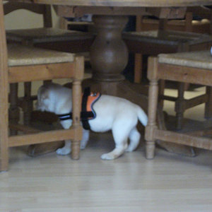 So klein war Alyssa am ersten Tag.