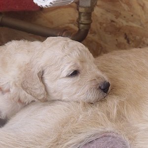 21.04.2011 - 3 Wochen alt