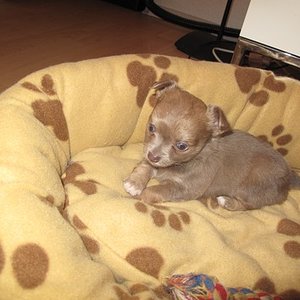 Ein Christkind - geboren am 24.12.2010