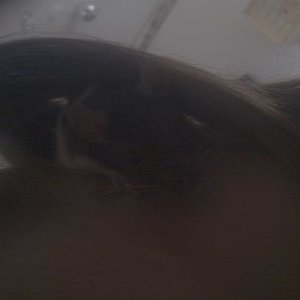 niuyen versucht sich zu verstecken ^^