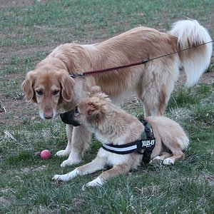 Was hast du gegessen??