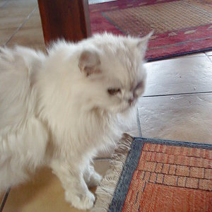 I-wie sieht er dick aus ist aber spageldünn ???