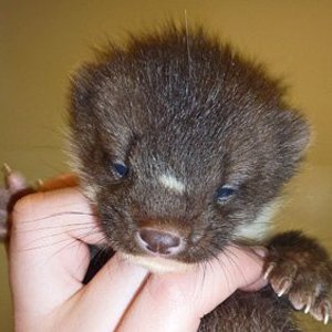 Traurig aber wahr....  :(