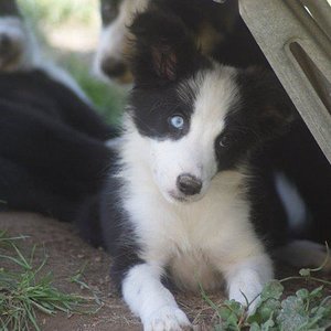 ICH LIEBE DIESEN BLICK * SCHWACH*