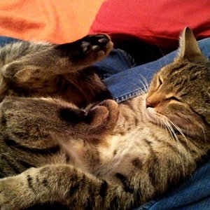 33633 1380777489829 1543690976 30837674 312079 n